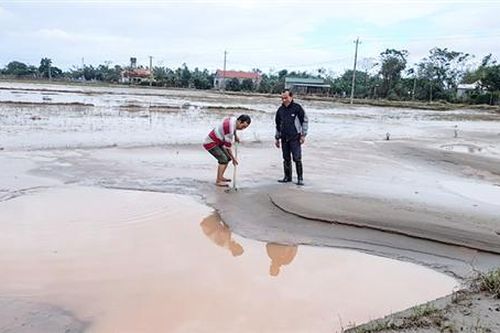 Triển khai cải tạo đồng ruộng bị bồi lấp sau lũ lụt ở Triệu Phong