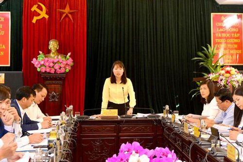 Thẩm tra các dự thảo nghị quyết trình kỳ họp chuyên đề HĐND tỉnh khóa XVIII