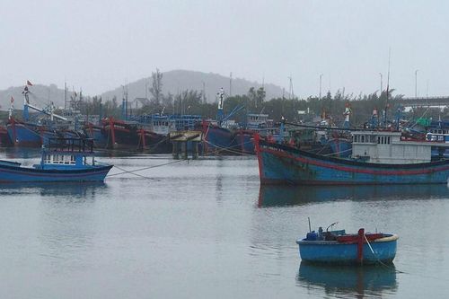 Ninh Thuận: Di dời hàng nghìn người dân đến nơi an toàn để phòng tránh bão số 12