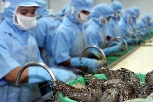 Tôm Việt Nam dẫn đầu thị phần tại Canada