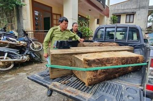 Cuộc rượt đuổi quyết liệt, truy bắt xe chở gỗ lậu lúc rạng sáng