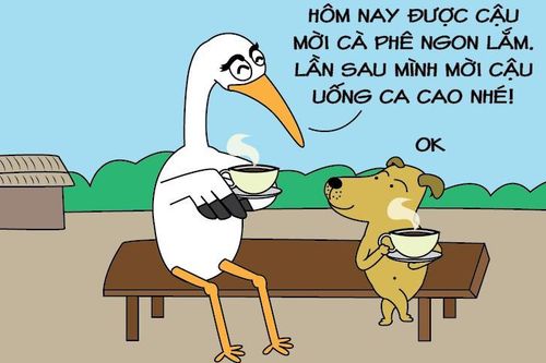 Méo mặt khi được mời uống ca cao