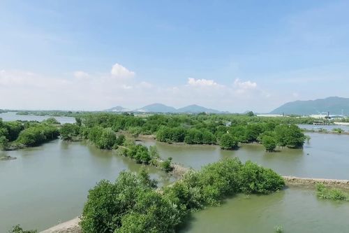Cộng đồng mạng quyết tâm 'phủ xanh' mạng xã hội