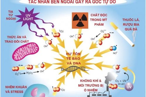 Bổ sung chất chống oxy hóa thế nào cho an toàn?