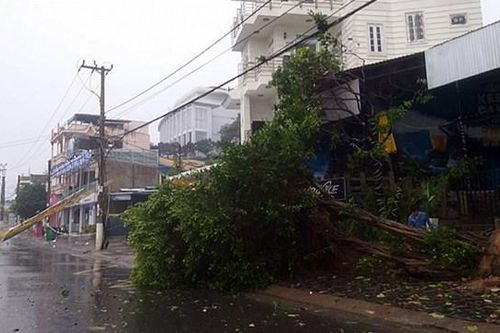 Bão số 12 gây mất điện tại nhiều xã ở Phú Yên