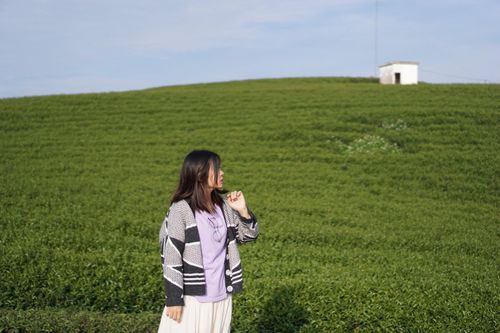 Kinh nghiệm du lịch Mộc Châu