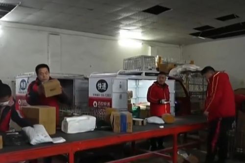 Ngành giao hàng Trung Quốc bận rộn trong 'ngày độc thân'