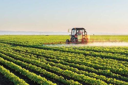 Nông nghiệp có thể khiến biến đổi khí hậu trầm trọng hơn