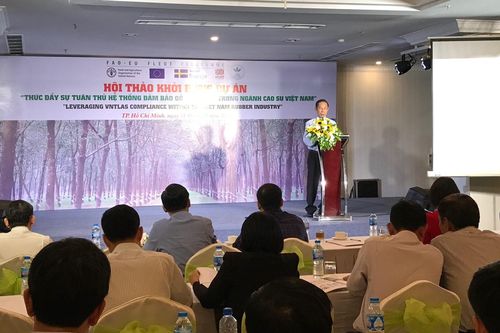 Thúc đẩy gỗ hợp pháp trong ngành cao su