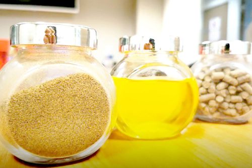 Trang trại côn trùng lớn nhất thế giới