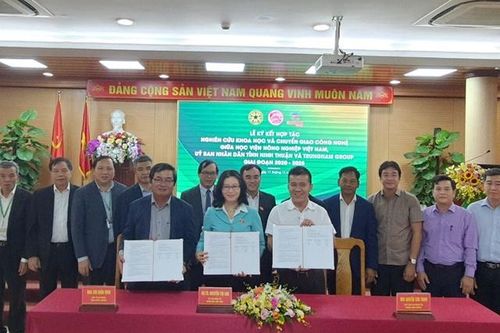 HV Nông nghiệp VN hợp tác phát triển nông nghiệp dưới hệ thống pin mặt trời