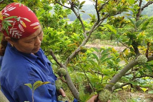 Quảng Ninh: Cơ sở đào tạo nghề chưa quan tâm tới thị trường