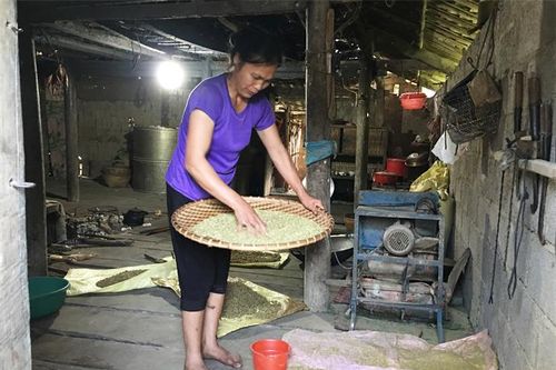 Nhớ hương cốm Cao Bằng