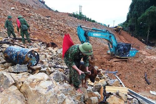 'Nhân tai' làm gia tăng sạt lở đất