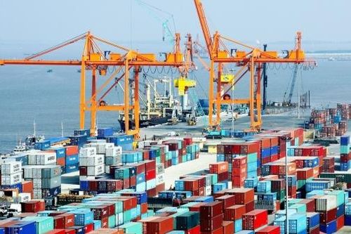 Gia hạn miễn thuế nhập khẩu và thuế giá trị gia tăng với hàng hóa dùng phòng chống dịch Covid- 19