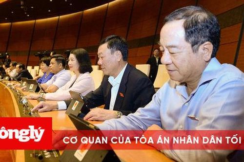 Gần 95% ĐBQH tán thành thông qua Luật Biên Phòng Việt Nam