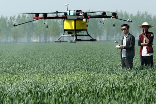 Nở rộ xu hướng dùng công nghệ UAV trong nông nghiệp tại Trung Quốc