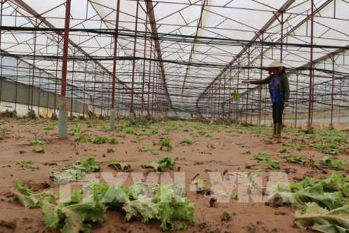 Ông Đoàn Nguyên Đức dùng cổ phiếu HAG làm tài sản thế chấp tái cơ cấu khoản vay