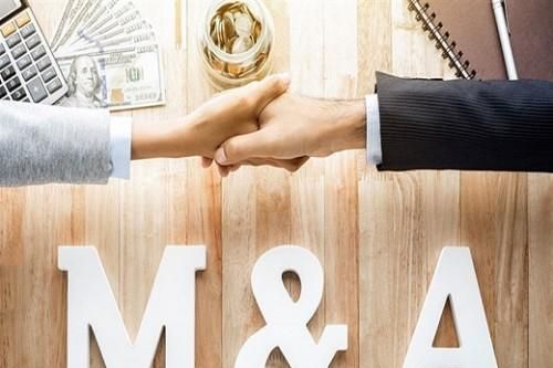 Doanh nghiệp Nhật gia tăng đầu tư vào Việt Nam qua hình thức mua bán, sáp nhập