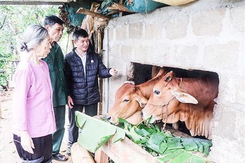 Mặt trận Tổ quốc Vĩnh Linh tích cực tham gia công tác giảm nghèo