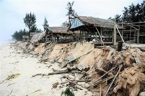 Cần sớm khôi phục và quy hoạch bền vững bãi tắm Gio Hải