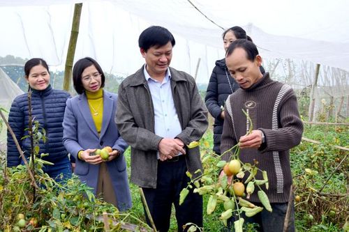 Hưng Thành đưa nghị quyết của Đảng vào cuộc sống