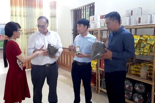Độc đáo trà lạnh Ngọc Thúy