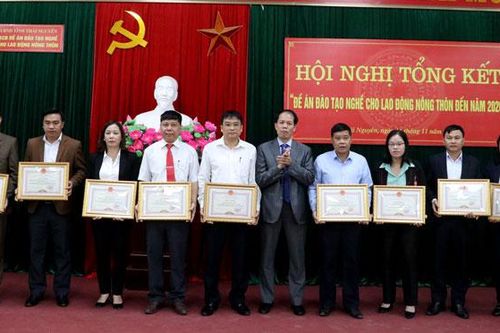 Đào tạo nghề cho hơn 45.700 lao động nông thôn