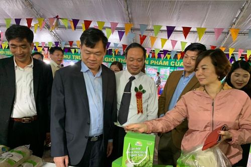Bắc Kạn: Đang diễn ra Ngày hội Nông sản OCOP tỉnh - Tôn vinh sản phẩm công nghiệp nông thôn tiêu biểu