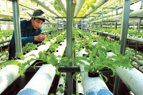 Khuyến khích chuyển đổi công nghệ mới, công nghệ sạch thân thiện môi trường