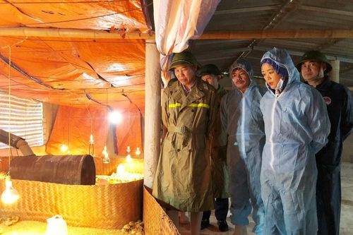 Bộ Nông nghiệp và Phát triển nông thôn hỗ trợ Quảng Bình khôi phục sản xuất sau lũ