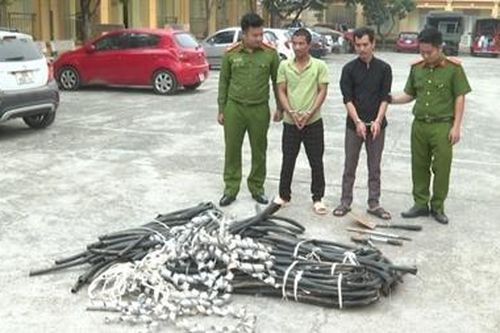 Bắt giữ cặp 'đạo chích' chuyên cắt dây cáp điện