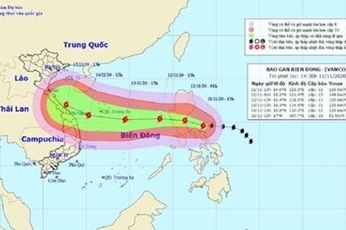 Khẩn trương ứng phó với bão Vamco giật cấp 15