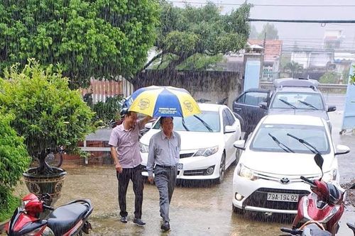Bức ảnh che ô đi chống bão gây phản cảm, Giám đốc Sở NN&PTNT Khánh Hòa lên tiếng