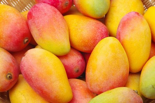 Mỹ tăng nhập khẩu xoài Việt Nam