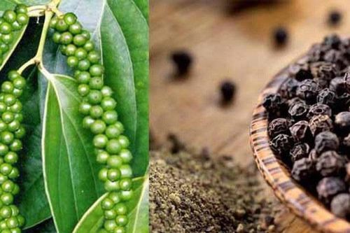 Giá tiêu hôm nay 12/11: Liên tiếp tăng 3 ngày, giá tiêu áp sát mốc 60 triệu đồng/tấn