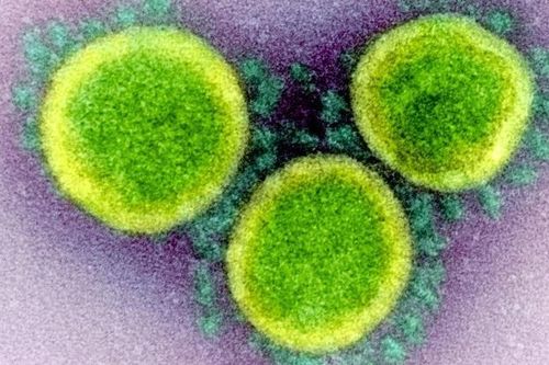 Phát hiện ra gen 'ẩn' tinh vi trong virus SARS-CoV-2