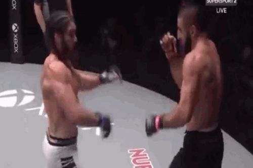 Võ sĩ rửa hận bằng đòn knock out đẹp mắt