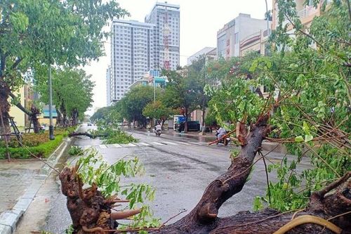Ứng phó bão số 13, Đà Nẵng sơ tán dân đến nơi an toàn trước 15 giờ ngày 13/11