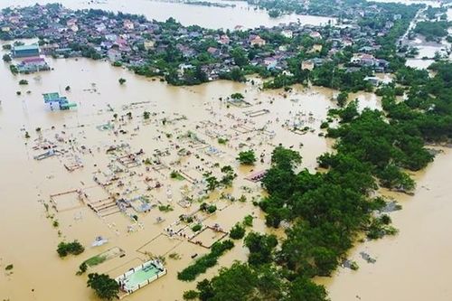 Giải bài toán khôi phục sản xuất nông nghiệp sau lũ