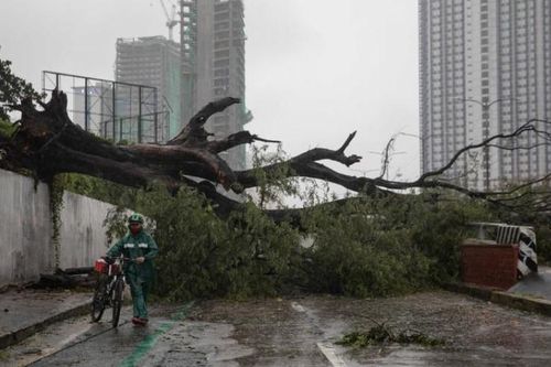 Bão Vamco tấn công Philippines, làm tê liệt các khu vực của Manila