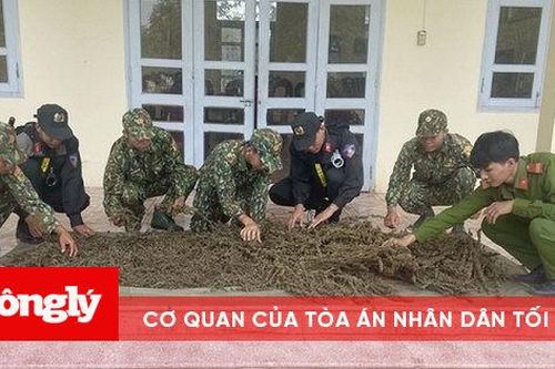 Phát hiện, thu giữ 12kg thảo mộc nghi là cần sa