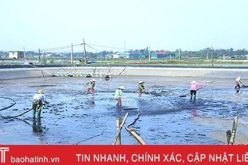 Người nuôi tôm Hà Tĩnh khẩn trương cải tạo ao hồ, xử lý môi trường thả giống vụ mới