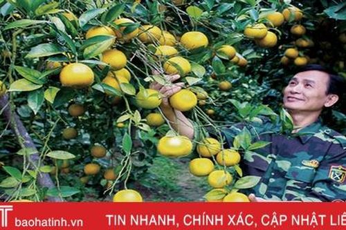 Hà Tĩnh cần ban hành nghị quyết mới về khuyến khích phát triển nông nghiệp