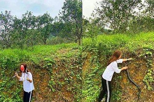 Gái xinh tay không bắt rắn hổ mang 2kg mang về cho bố ngâm rượu là ai?