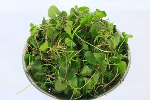 Rau má và những người tuyệt đối không nên ăn