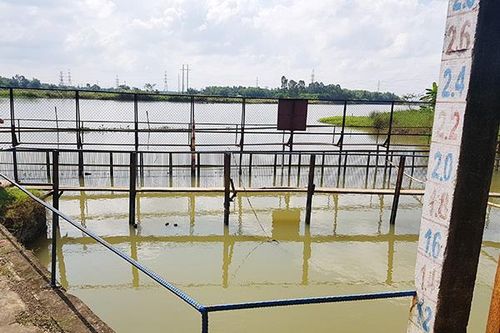 Đề xuất xây đập ngăn mặn vĩnh cửu trên sông Cẩm Lệ kết hợp mở rộng cầu Hòa Xuân
