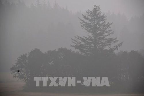 Argentina được viện trợ 82 triệu USD giúp giảm phát thải carbon