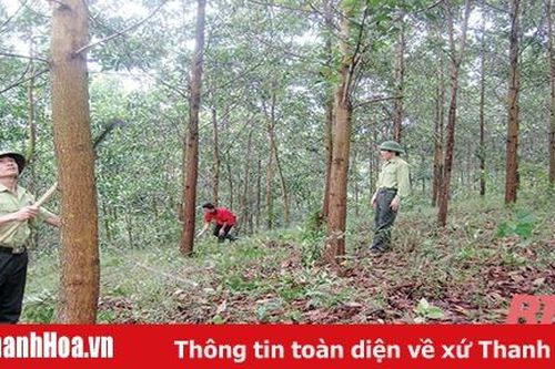 Quỹ bảo vệ và phát triển rừng tỉnh Thanh Hóa - nguồn lực cho phát triển bền vững