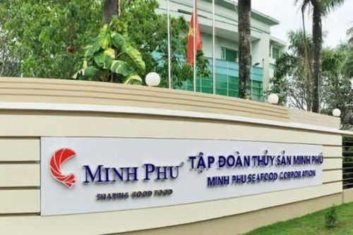 Bị kiện phá giá, thay đổi thượng tầng, 'vua tôm' Minh Phú tái cơ cấu hoạt động